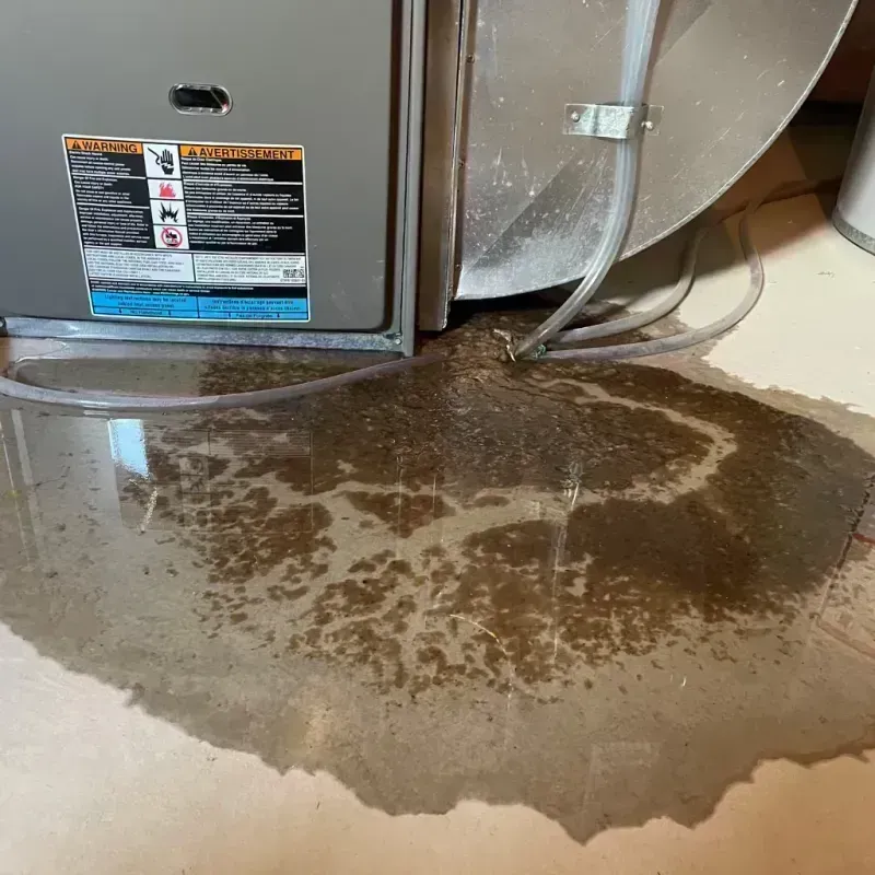 Appliance Leak Cleanup in Marseilles, IL